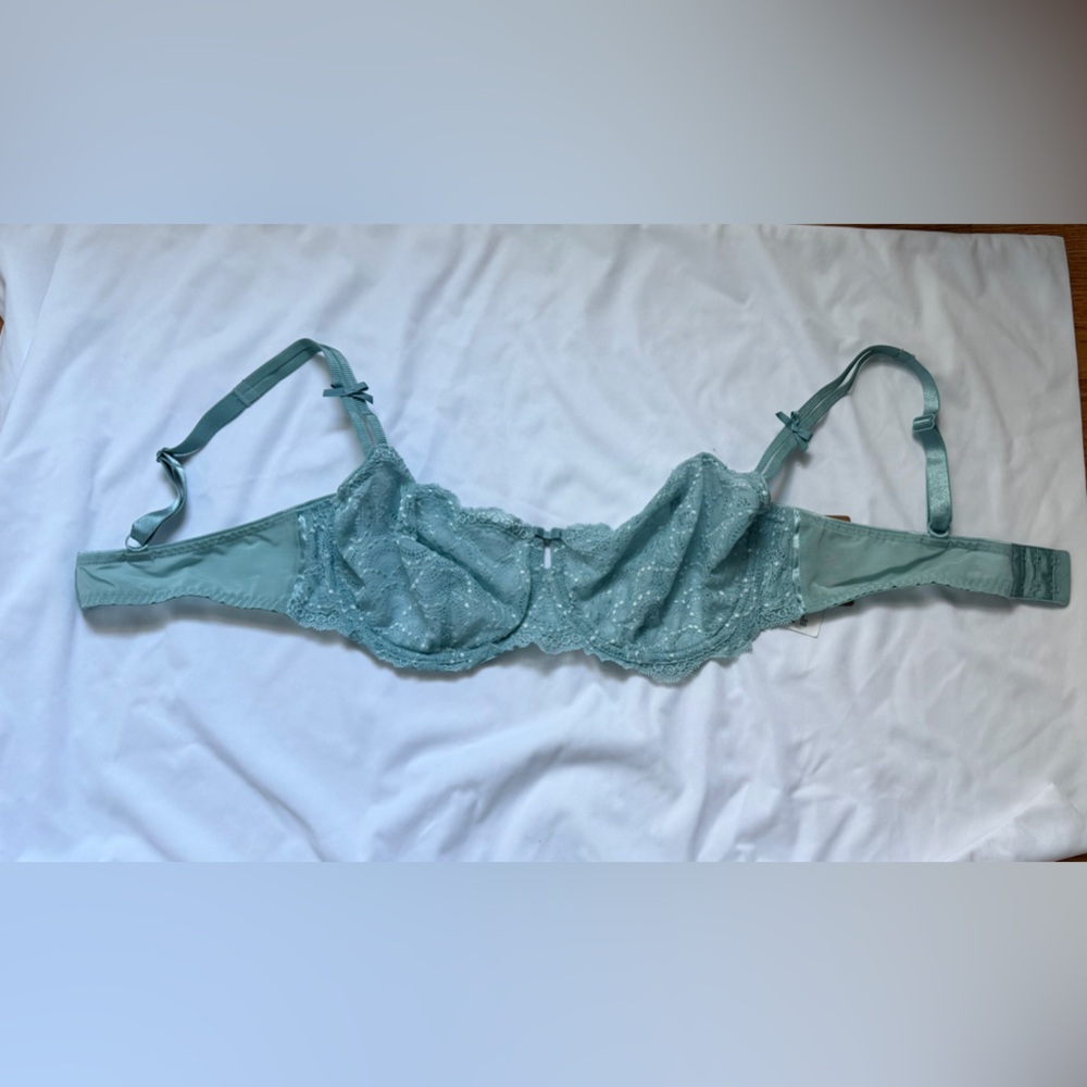 Chantelle Lace Bra in Soft Teal